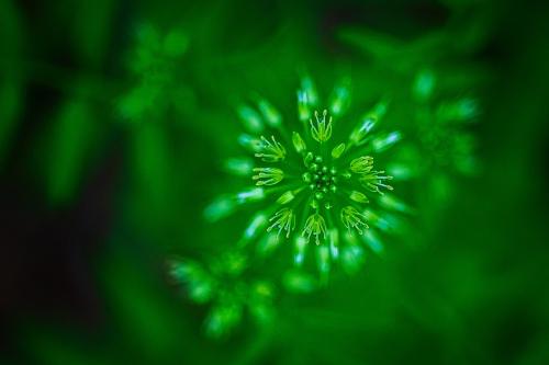 6 buoni motivi per diventare società benefit