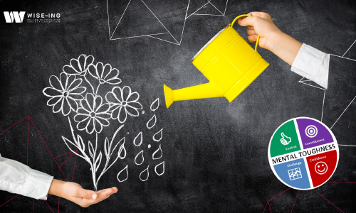 MTQPlus Italia: Un'avventura di Crescita, Innovazione e Cooperazione