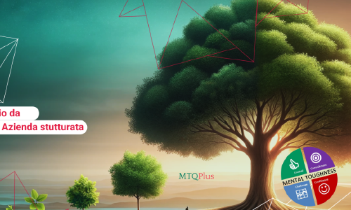 Il passaggio da Startup ad Azienda strutturata