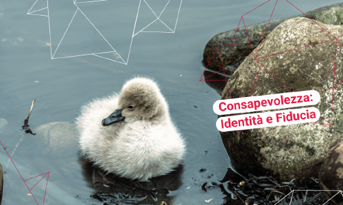 Consapevolezza: Identità e Fiducia